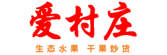爱村庄logo