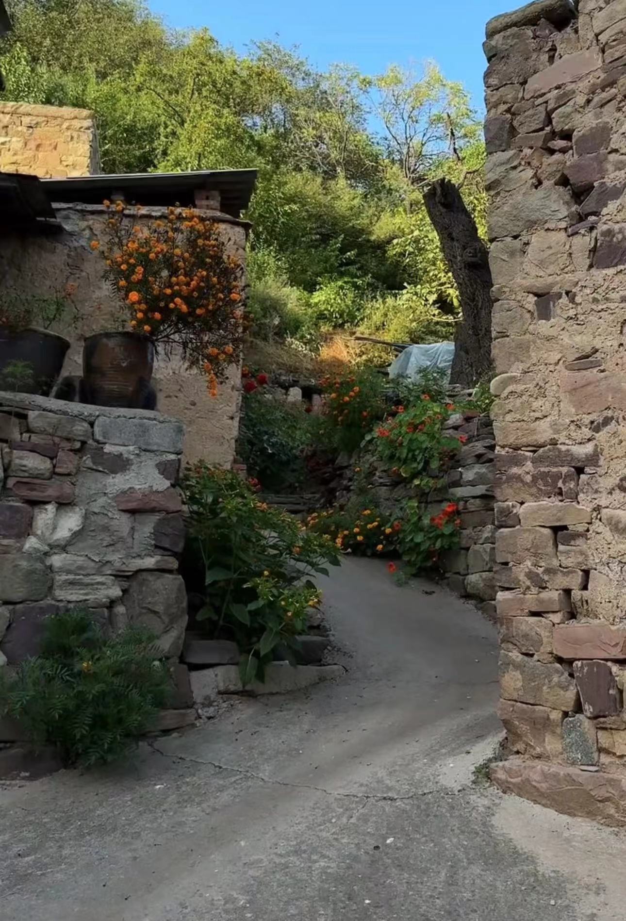 超级供应链集成平台